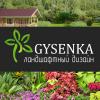 Изображение пользователя Gysenka.